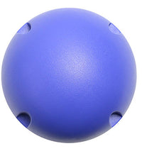 CanDo MVP Balance System - Blue Ball - Level 4 - ONLY