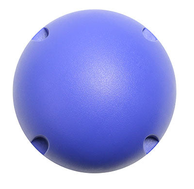 CanDo MVP Balance System - Blue Ball - Level 4 - ONLY