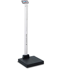 Detecto Apex Digital Clinical Scale w/Mechanical Height Rod (600 lb)