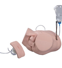 Catheterization simulator BASIC SET F/M