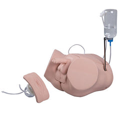 Catheterization simulator BASIC SET F/M