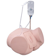 Catheterization simulator PRO, Female