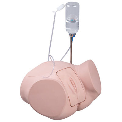 Catheterization simulator PRO, Female