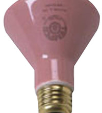 Accessories - (250 watt) Ceramic Bulb - each