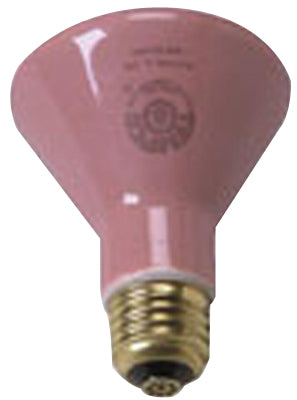 Accessories - (250 watt) Ceramic Bulb - each