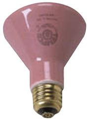 Accessories - (250 watt) Ceramic Bulb - each