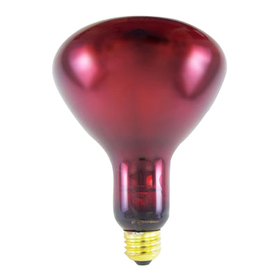 Accessories - (175 watt) Ruby Bulb - each