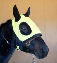 Thermotex Equine Far Infrared Heating Hood