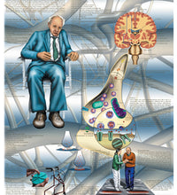 Anatomical Chart - Parkinson's disease, laminated