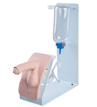 Catheterization simulator BASIC male