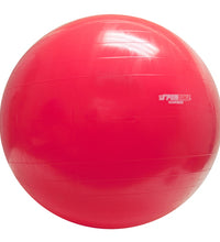 PhysioGymnic Inflatable Exercise Ball - Red - 38" (95 cm)