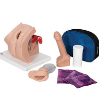 Contraceptive Set, Light