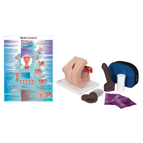 Contraceptive Set, Dark