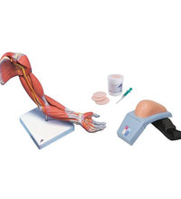Upper Intramuscular Injection Training Set