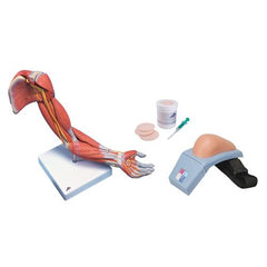 Upper Intramuscular Injection Training Set