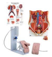 Dual Sex Catheterization Basic Set