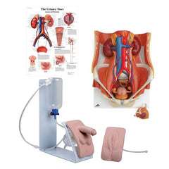 Dual Sex Catheterization Basic Set