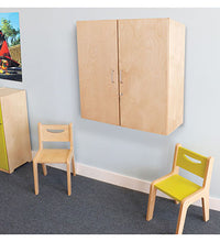 Lockable Wall Mounted Cabinet