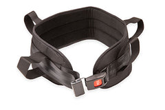 Padded transfer belt, auto buckle, large (40