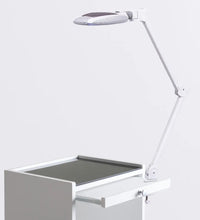 Primary Image Link