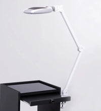 Primary Image Link