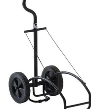 Primary Image Link