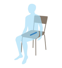 Primary Image Link
