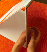Primary Image Link