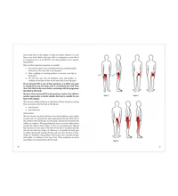 Primary Image Link