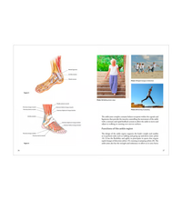 Primary Image Link