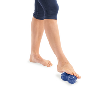 Primary Image Link