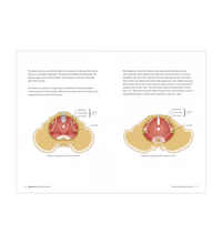 Primary Image Link
