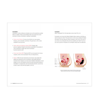 Primary Image Link