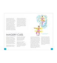 Primary Image Link