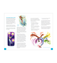 Primary Image Link