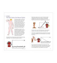 Primary Image Link