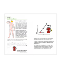 Primary Image Link