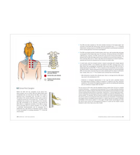 Primary Image Link