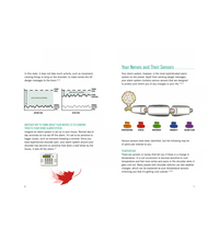 Primary Image Link