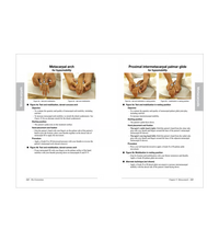 Primary Image Link