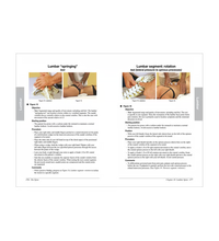 Primary Image Link