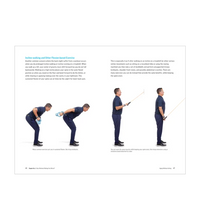 Primary Image Link