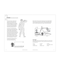 Primary Image Link