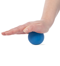 Primary Image Link