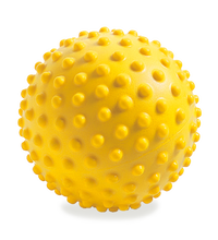 Primary Image Link