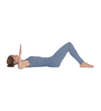 Primary Image Link