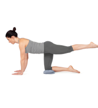 Primary Image Link