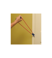 Primary Image Link