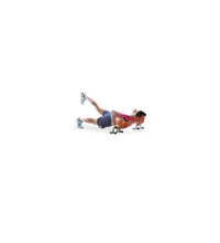 Primary Image Link