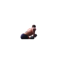 Primary Image Link